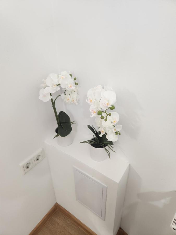Apartman Zagreb Cca 42M2 With Free Parking Εξωτερικό φωτογραφία